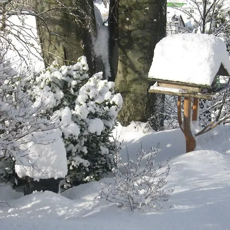 Ferienwohnung * Rauenstein (Sonneberg)