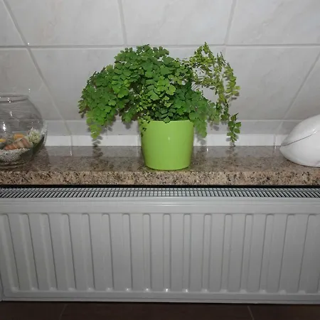 Apartment Ferienwohnung Rauenstein (Sonneberg)